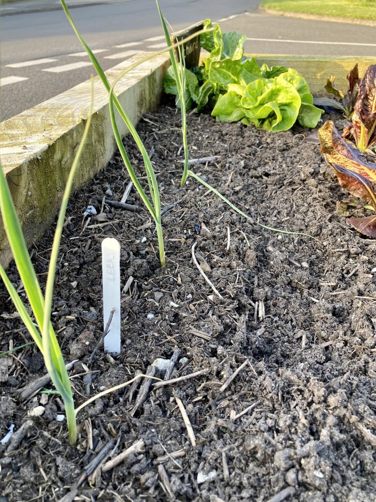 Garforth Grange Derwent Avenue Bed Incredible Edible Leeds