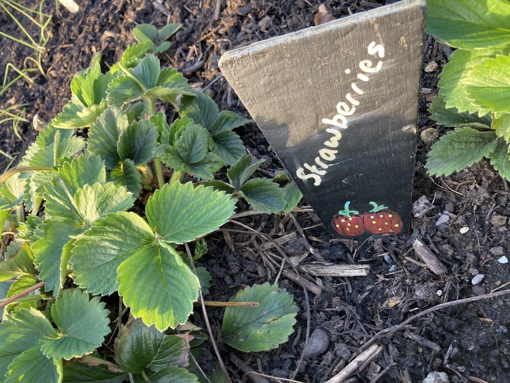 Garforth Grange Derwent Avenue Bed Incredible Edible Leeds